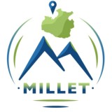 Миллет