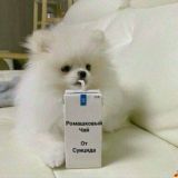 ᴩᴏʍᴀɯᴋᴏʙый чᴀй🫖