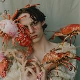 Поиски Франтовой / дизайн интерьера / хоумстейджинг