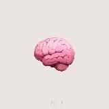 🧠 • СФЕРА