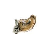 🦪 / устричная