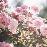 привет, есть минутка?