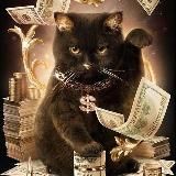 Кот инвестор