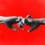 адвокат:ка тихих дев