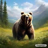 Мир дикой природы