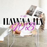 Находки Wildberries | артикулы