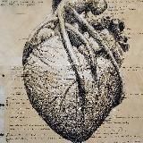 MedAcademy | медицина