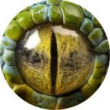 Видения Каиновы