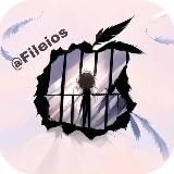 CellStars | Новости