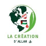 LA CRÉATION D'ALLAH ﷻ