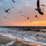 🌈𝓜𝔂 𝓶𝓾𝓵𝓽 𝓶𝓲𝓻❄