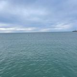 Философский пароход + Westland Mark Ltd - Global Talent Visa