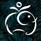 🇮🇳 Хинди - легко! Индия 🛫