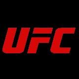 UFC БОИ
