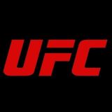 UFC БОИ