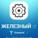 ЖЕЛЕЗНЫЙ