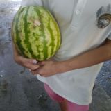 оливье (Не салат)