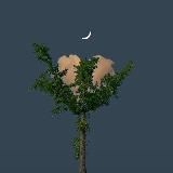 ✨𝒊𝒏𝒔𝒐𝒎𝒏𝒊𝒂✨