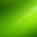 ЗЕЛЁНЫЙновГОРОДЕЦ