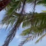 Турагентство Семейных путешествий ● Туры ● Отели ● Just Travel