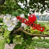 Шопинг с доставкой на дом🌟