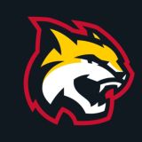 Хоккейный клуб «Гомель»