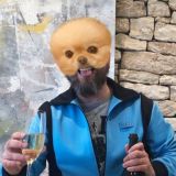 Чат Испанский шпиц 18+