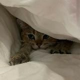 Эстетика | Саморазвитие | Мотивация