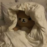 🌾𝗮𝘀𝘁𝗵𝗲𝘁𝗶𝗰𝘀🌻