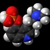 Грибы - Отпечатки псилоцибинов
