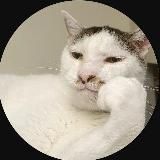 🐈Blackkiskis канал🐈