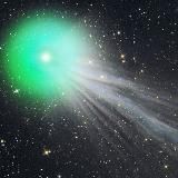 Мяу из России 🇷🇺 🐈⬛️