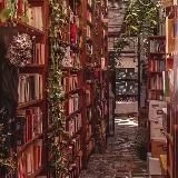 Книжный дворик