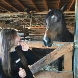 daniiashmyg | sech student