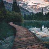 𝑭𝑶𝑹 𝑺𝑻𝑶𝑹𝑰𝑬𝑺 Chat