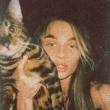 Кошек записки