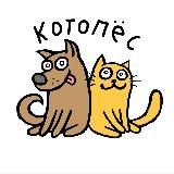 Котопёс