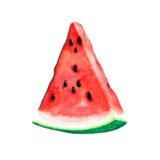 🍉 Introvert Community 🍉