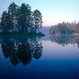 It's okay to be highly sensitive