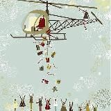 Helicopter review