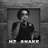 ⦑M⦒⦑Z⦒ ⦑S⦒⦑N⦒⦑A⦒⦑K⦒⦑E⦒