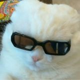 Норм дабстепич (нет)