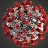 Спб. Мониторим запись на вакцину