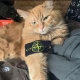 Помошник Бедного