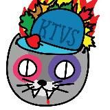 Инцидент Владимир