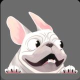 Французы Ривера