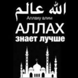 Islam Koran Coran Nashidy