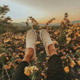 Dream aesthetic🧚🏻♀🦋