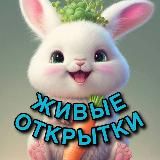 Живые открытки