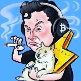 Илон в крипте